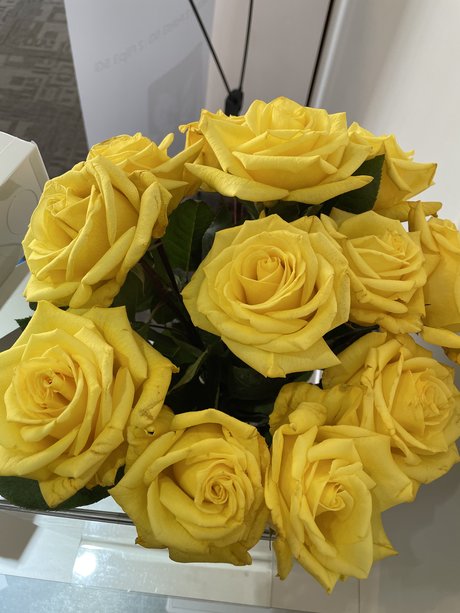 LittleToes sex pornstar picture