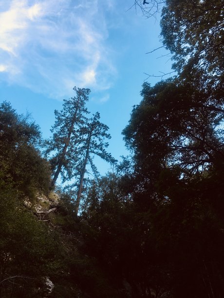 Thickdickmvn star erotic galleries