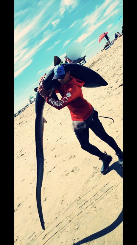 The Shark Sniper high quality star photos