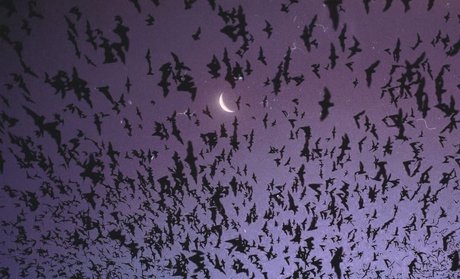 _kitty_ pornstar nice img