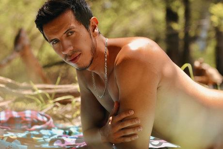 ThickTop model top image