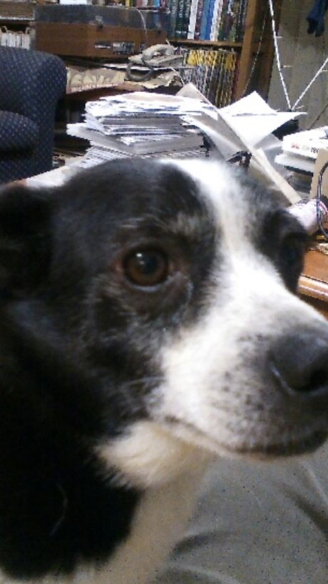 Themiurabull nude pornstar archive