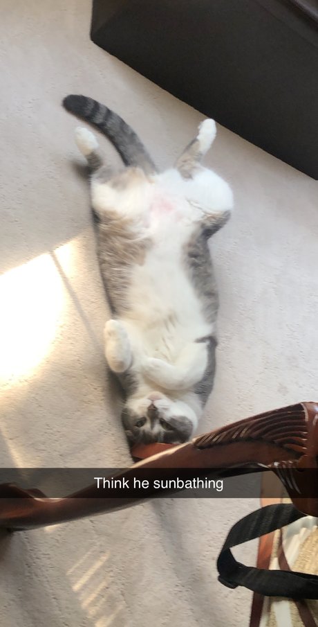 Yo Boi free actress pictures