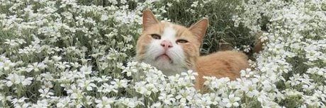 Xochitl_ model nice images