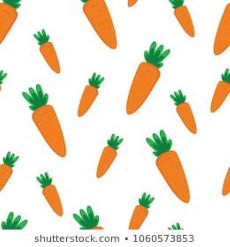 Thee Bunny beautiful model photo