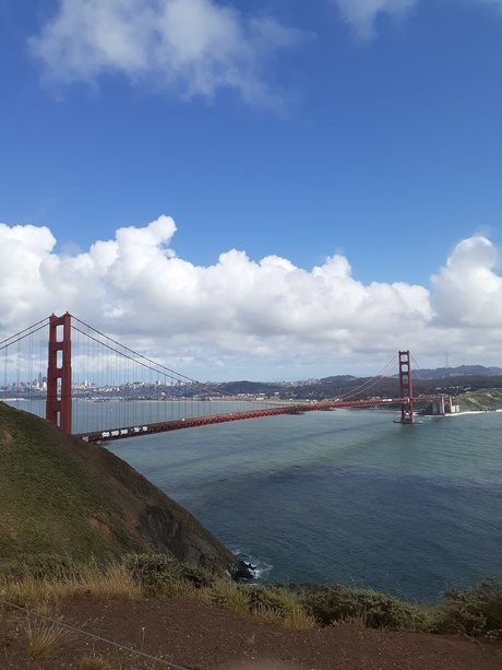 Joey Bowie pretty actress photos