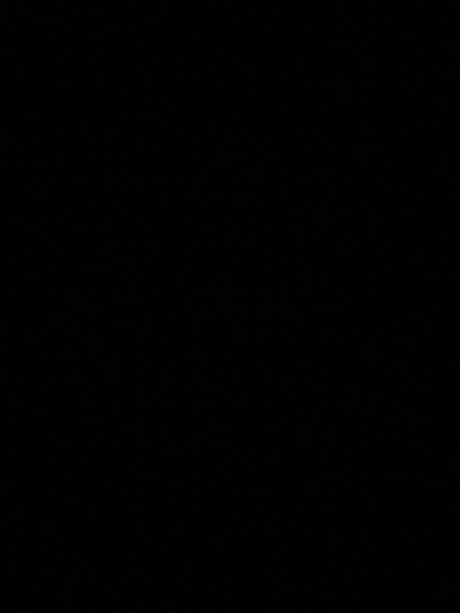 xxxjr pornstar pretty photo