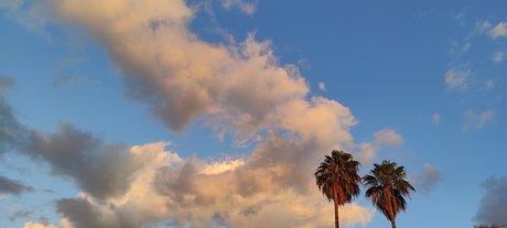 Teddy Velazquez pornstar hd pictures