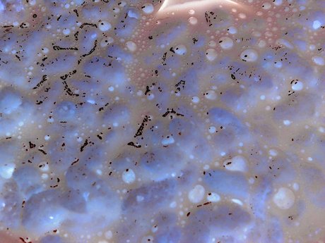 Cori pornstar top images