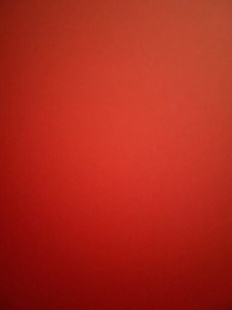 AussieNiNJA x star high quality galleries