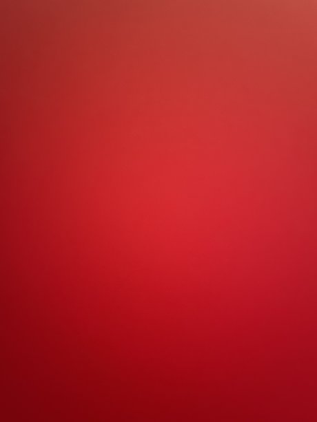 AussieNiNJA x exclusive pornstar picture