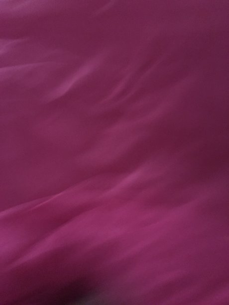 Yuri Ariella erotic pornstar galleries