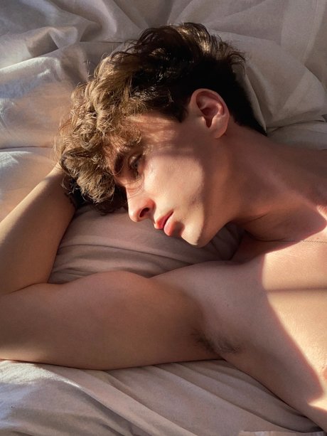 zachary lodge pornstar nice galleries