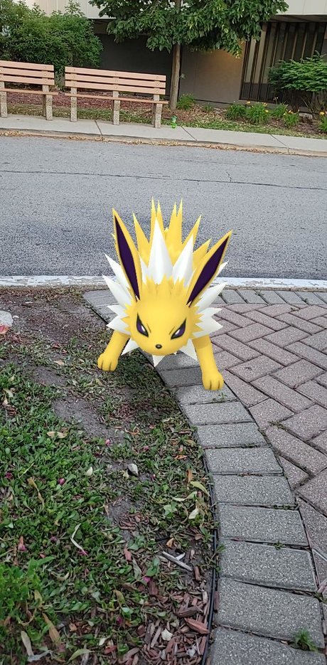 Night Shade exclusive model gallery