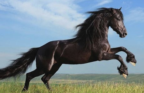 lillliiillllii pornstar sexy galleries