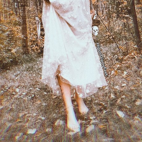 HippyDippyFeet_ nice pornstar photo