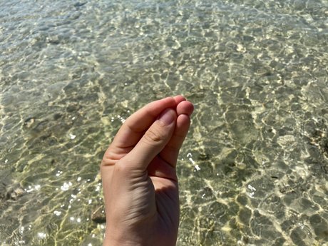 Max It pornstar art galleries