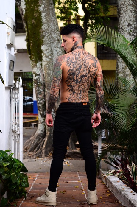 Trisstan free star pic