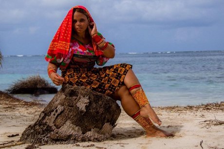 Stelly model top photos