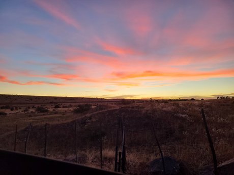 Sugar Cookie erotic pornstar pic