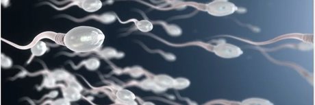 BBK TOP in PARIS model high quality pictures