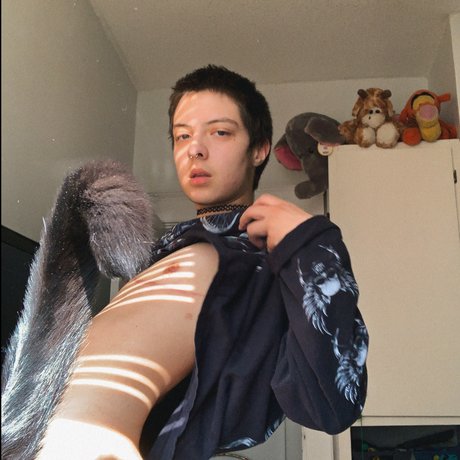 grayson_ free star picture