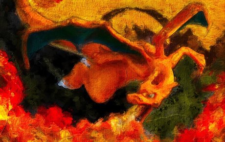 Ozzie nice pornstar pic