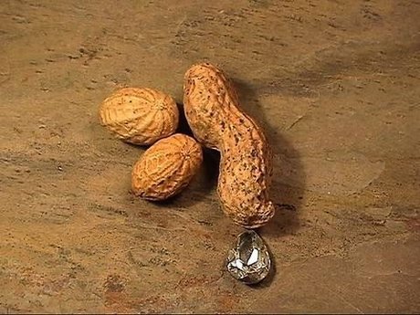 Ashtyn s Playground_ hd actress images