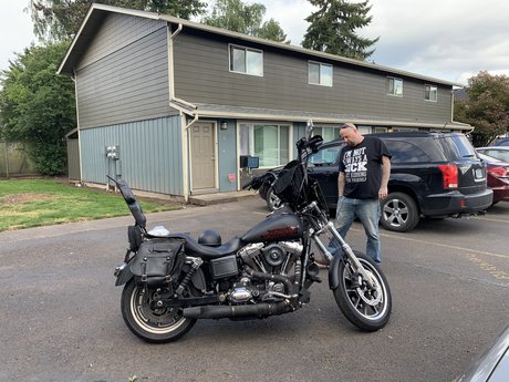 Mr Fox sexy actress pics