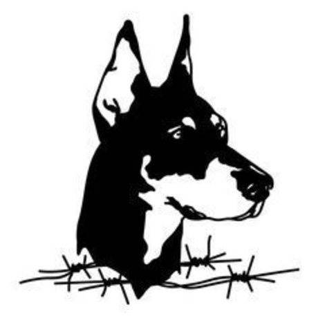 OFMANAGMENT amp amp MARKETING_ sexy star galleries