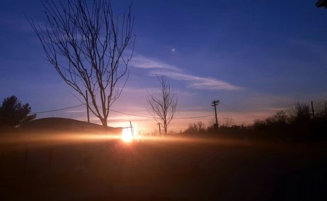 Frank n Weenie nudes model pictures