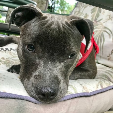 Frank n Weenie best actress gallery