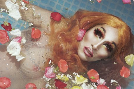 PANIC star free galleries