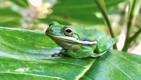 naveltrailblazer3 pornstar exclusive photos