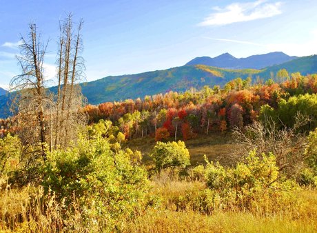 naveltrailblazer3 perfect star gallery