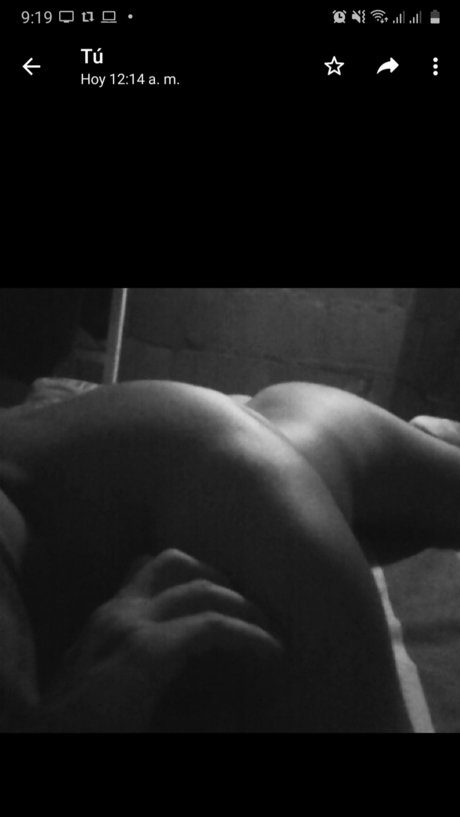 Latin Roomer art star archive