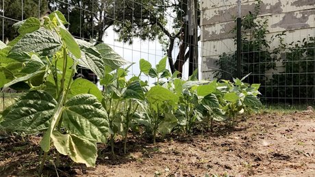 Kora Ellen nude model gallery