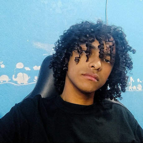 Harlequin Kyoshi model nice galleries