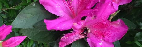 u16670064 pretty model images