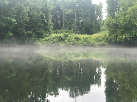 FrankieFFuxxx pornstar nudes pictures