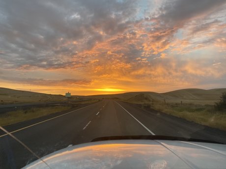 Papabear free model photos