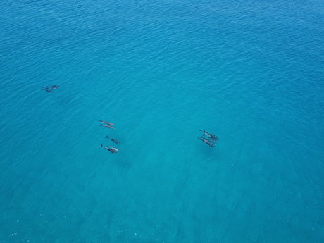 Flyingbeers model exclusive image