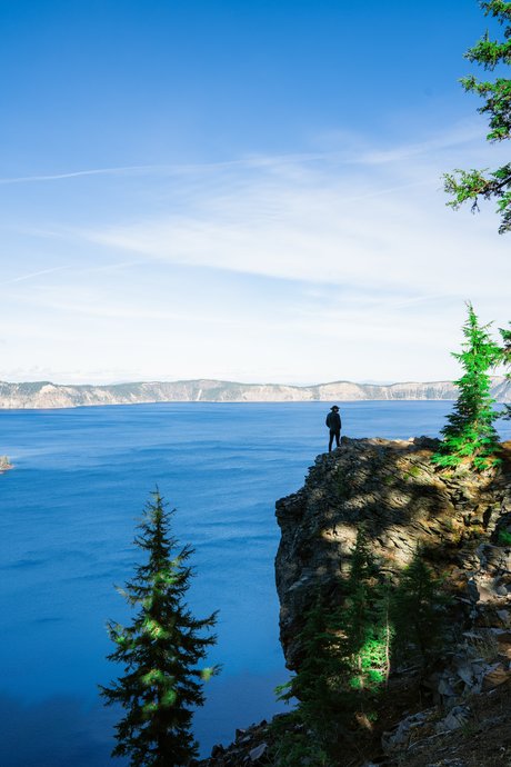 Benji 3 art star pics