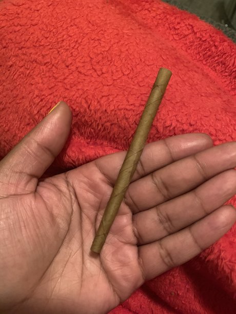 wanna come_ hd pornstar gallery