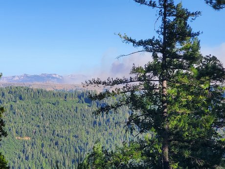 SmkinSexy erotic actress archive