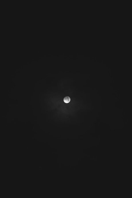 Felipe D Morquecho pornstar naked image