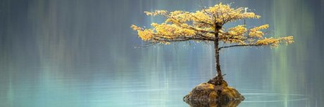 u21504771 hd pornstar picture