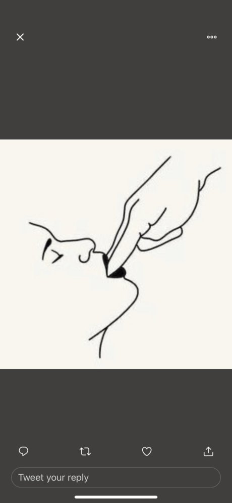 KODA pretty star pictures