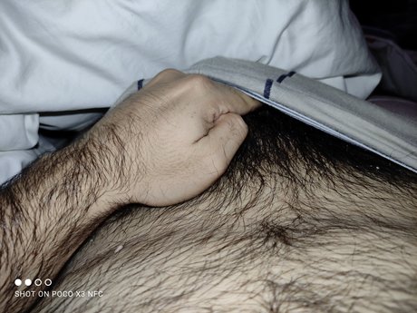 furrybear pornographic model images