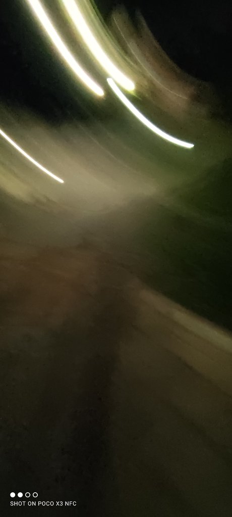 furrybear star exclusive galleries